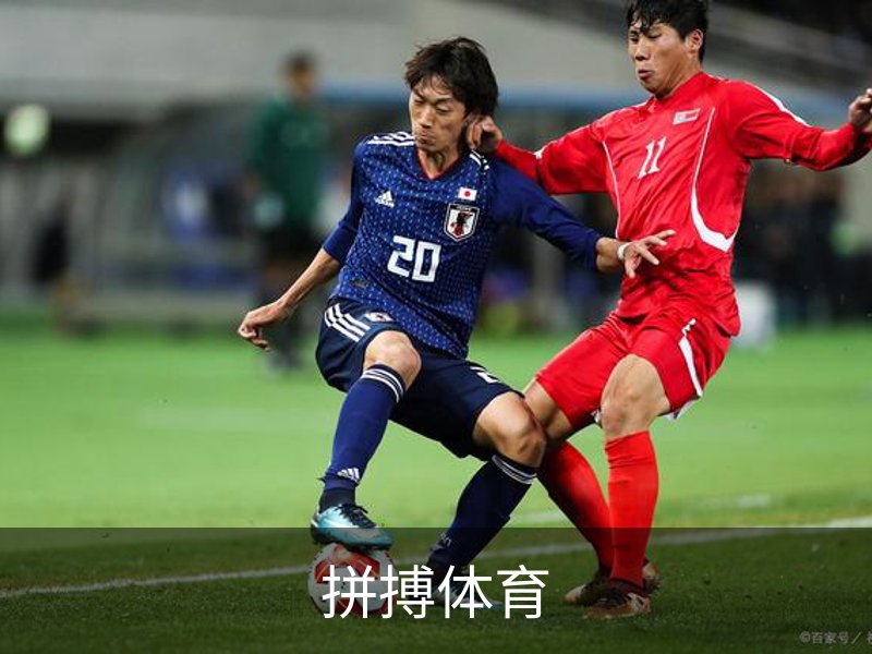 拼搏体育概况